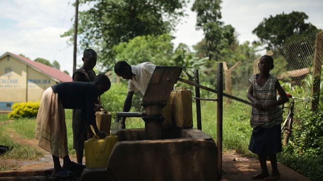 Video Reference: tree, vehicle, statue, grass, plant, recreation, monument, Person
