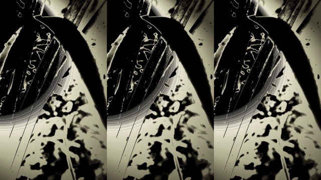 Video Reference: Black-and-white, White, Black, Monochrome photography, Monochrome, Leaf, Photography, Design, Organism, Pattern