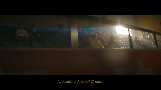 Video Reference: Black, Light, Text, Darkness, Brown, Sky, Design, Screenshot, Font, Architecture, Sitting, Small, Monitor, Screen, Table, Computer, Holding, Bird, Large, Standing, Blurry, Woman, Room, Man, Person