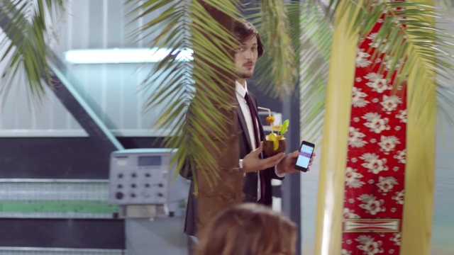 Video Reference: interior design, window, plant, curtain, palm tree