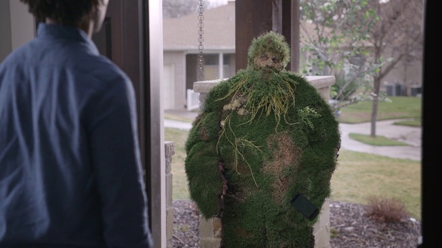 Video Reference: Green, Leaf, Tree, Outerwear, Grass, Fur, Plant, Adaptation, Textile, Houseplant