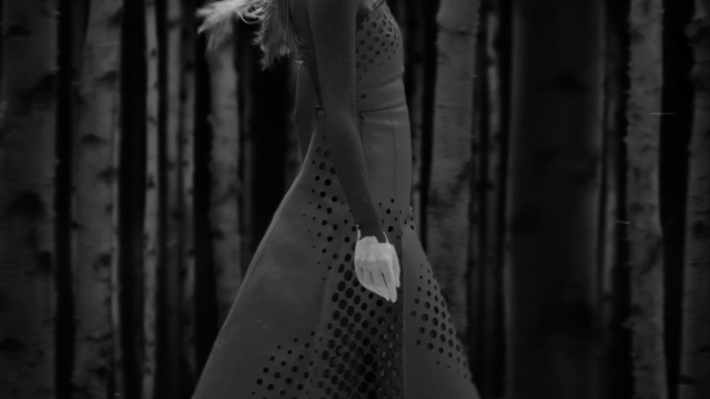 Video Reference: black, photograph, black and white, monochrome photography, darkness, photography, monochrome, dress, fashion, outerwear, Person