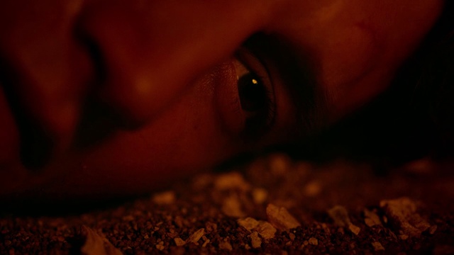 Video Reference: Red, Black, Orange, Brown, Close-up, Mouth, Darkness, Photography, Macro photography, Wood, Indoor, Sitting, Close, Little, Laying, Banana, Small, Food, Computer, Apple, Table, Laptop, Dog, Holding, White, Eyes, Closeup