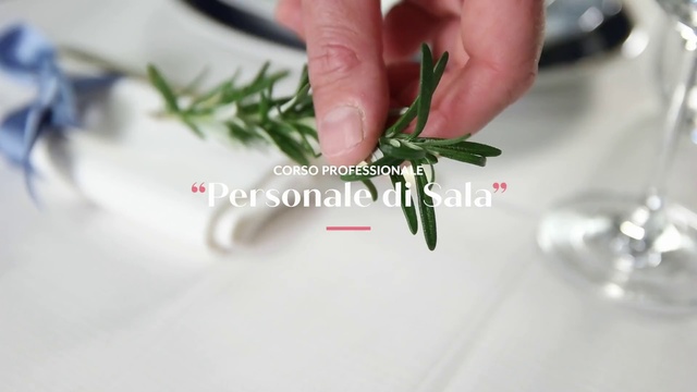 Video Reference: Leaf, Plant, Finger, Hand, Artificial flower, Flower, Branch, Bouquet, Tablecloth, Tableware