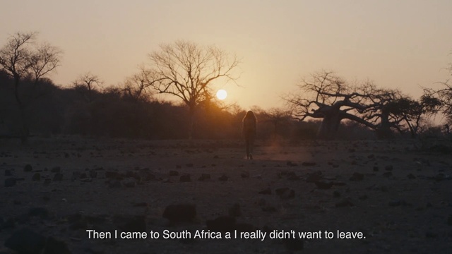 Video Reference: Sky, Natural landscape, Atmospheric phenomenon, Morning, Tree, Sunrise, Wildlife, Landscape, Ecoregion, Evening