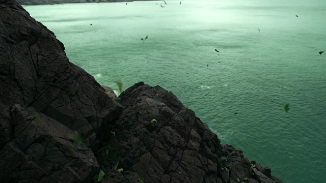 Video Reference: Sea, Green, Coast, Cliff, Promontory, Ocean, Klippe, Coastal and oceanic landforms, Rock, Terrain