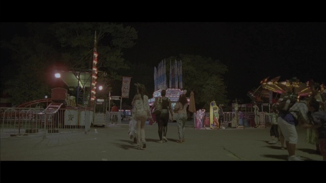 Video Reference: night, crowd, light, tourist attraction, darkness, fun, sky, screenshot, recreation, scene, Person