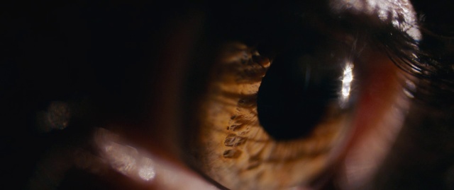 Video Reference: Eye, Nose, Iris, Close-up, Head, Organ, Brown, Macro photography, Darkness, Eyelash
