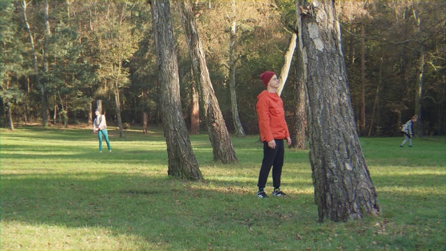 Video Reference: Tree, Woody plant, Trunk, Recreation, Plant, Park, Grove, Woodland, Person, Grass, Outdoor, Field, Playing, Frisbee, Throwing, Man, Young, Grassy, Green, Game, Flying, People, Area, Boy, Group, Large, Woman, Catch, Standing, Red, Air, White, Clothing, Lush