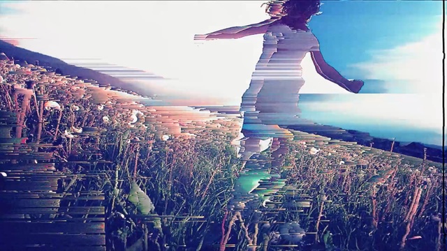 Video Reference: silhouette, field, cheering, nighttime, people, lights, flag, person, glitch