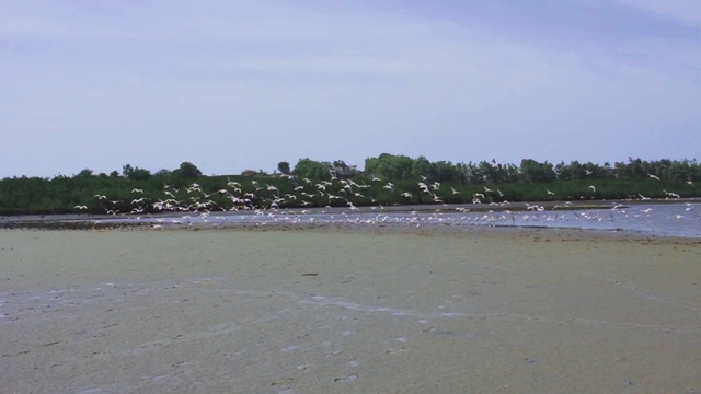 Video Reference: Shore, Sea, Water resources, Beach, Water, Coast, Mudflat, Coastal and oceanic landforms, Sand, Ocean