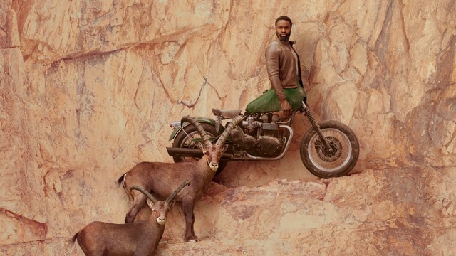 Video Reference: Working animal, Goats, Vehicle, Barbary sheep, Adaptation, Fawn, Goat