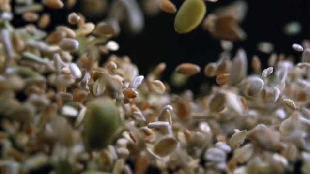 Video Reference: Plant, Organism, Sprouting, Mixture, Food, Seed, Cake, Indoor, Chocolate, Decorated, Table, Sitting, Large, Plate, Ready, Close, Donut, Fruit, Birthday, Blue, Holding, Pan, Red, Board, Standing, White, Reef, Aquarium, Closeup, Marine invertebrates, Vegetable