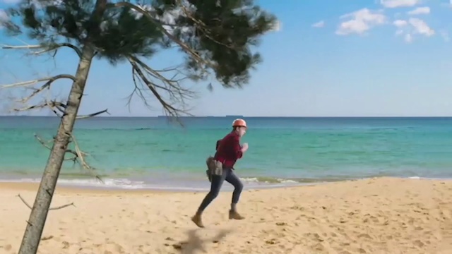 Video Reference: Beach, Shore, Vacation, Fun, Sand, Coast, Tourism, Tree, Coastal and oceanic landforms, Leisure