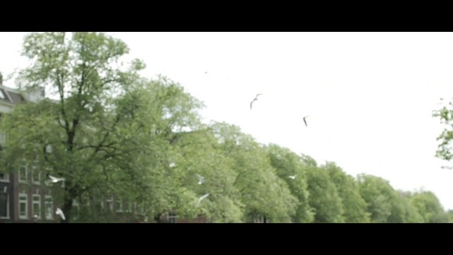 Video Reference: Vegetation, Nature, Green, Tree, Leaf, Sky, Nature reserve, Biome, Atmospheric phenomenon, Natural environment