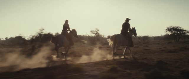 Video Reference: Horse, Mammal, Bridle, Rein, Halter, Animal sports, Pack animal, Western riding, Trail riding, Recreation