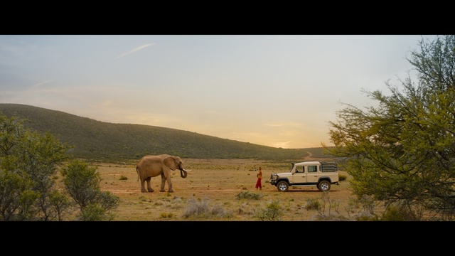 Video Reference: wildlife, wilderness, sky, grassland, elephants and mammoths, ecosystem, safari, savanna, national park, elephant, Person