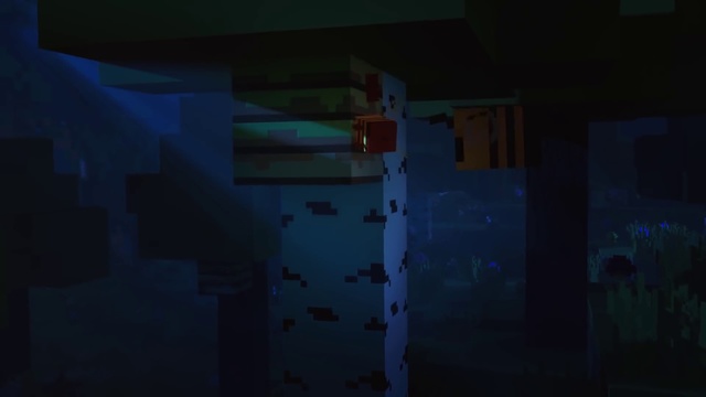 Video Reference: Blue, Black, Photograph, Light, Green, Wall, Lighting, House, Property, Snapshot