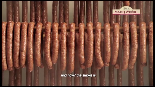 Video Reference: Sausage, Sujuk, Andouille, Knackwurst, Loukaniko, Frankfurter würstchen, Food, Thuringian sausage, Mettwurst, Chinese sausage, Person