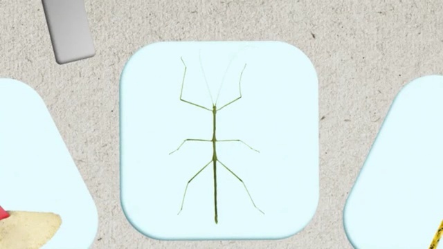 Video Reference: Symmetry