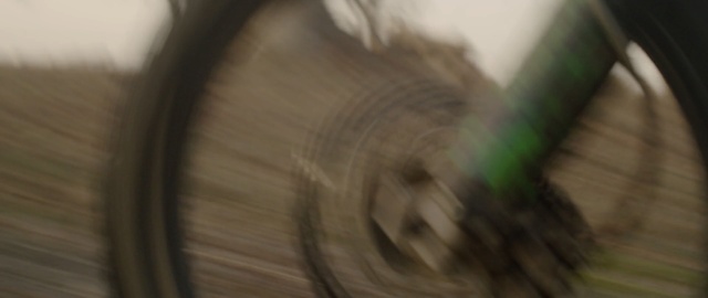 Video Reference: Hair, Green, Close-up, Eye, Photography, Long hair, Wood, Ear, Eyelash