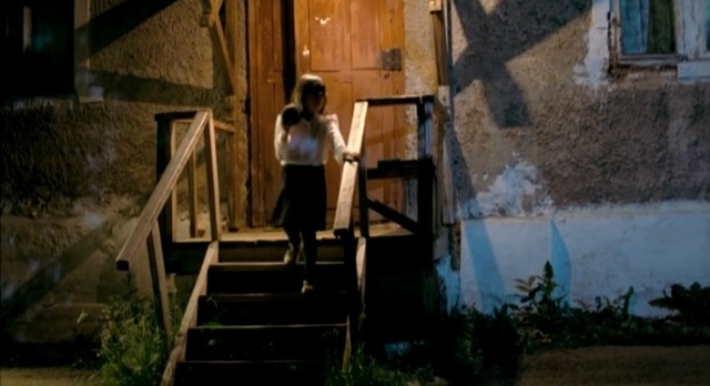 Video Reference: tree, house, darkness, night, window, Person