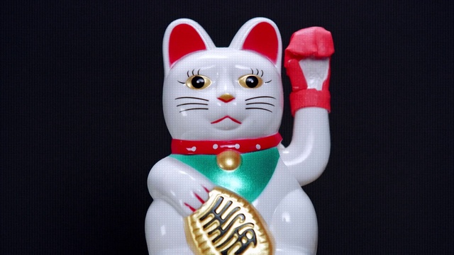 Video Reference: Cat, Felidae, Whiskers, Toy, Small to medium-sized cats, Baby toys