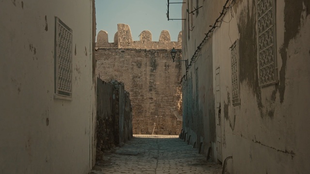Video Reference: Alley, Street, Road, Town, Wall, Infrastructure, Neighbourhood, History, Building, Architecture, Person