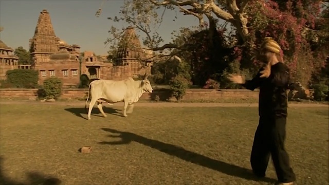 Video Reference: tree, sky, grass, herd, plant, landscape, tourism, Person