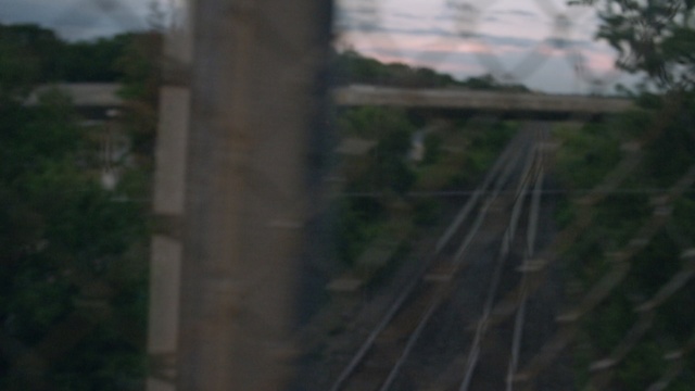 Video Reference: track, mode of transport, tree, bridge, sky, wood, residential area, rural area, biome, suspension bridge