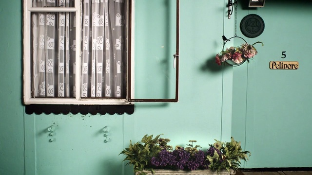 Video Reference: green, wall, window, home, door, house