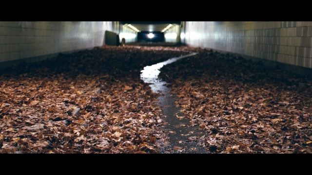 Video Reference: soil, sunlight