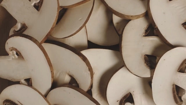 Video Reference: material, Person