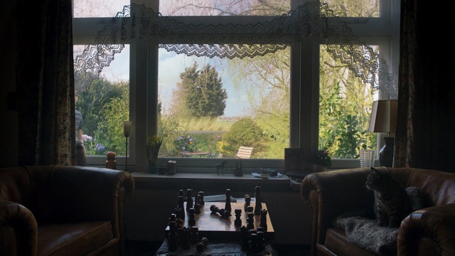 Video Reference: Room, Interior design, Window, Tree, House, Living room, Sky, Furniture, Home, Couch