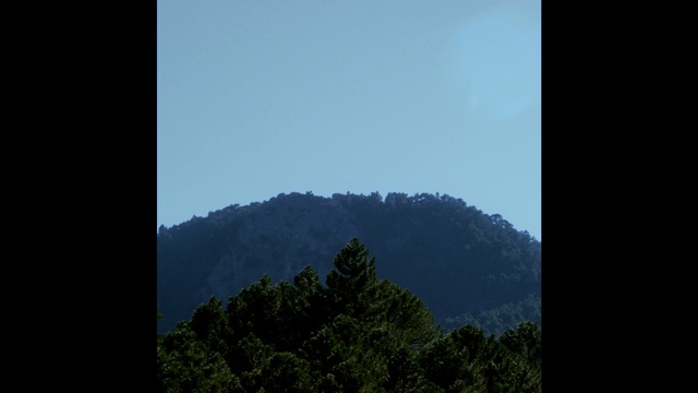 Video Reference: sky, nature, mountainous landforms, atmosphere, tree, mountain, hill station, cloud, morning, hill
