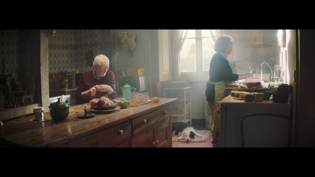 Video Reference: Photograph, Snapshot, Screenshot, Human, Room, Sitting, Photography, Adaptation, Conversation, Furniture