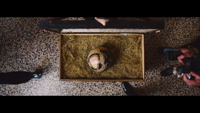 Video Reference: screenshot, darkness