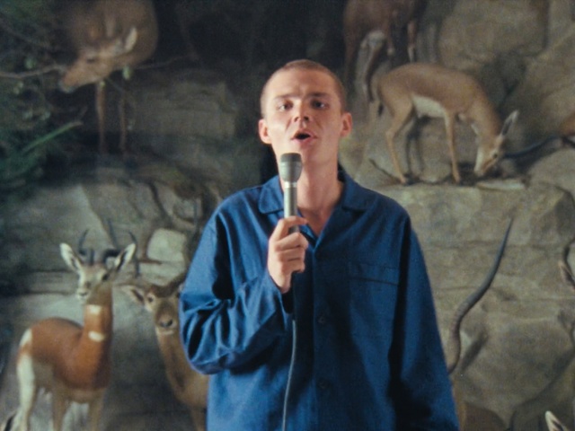 Video Reference: mammal, wildlife, deer, Person