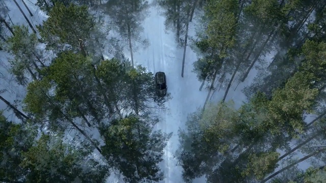 Video Reference: water, nature, nature reserve, vegetation, tree, ecosystem, forest, old growth forest, waterfall, rainforest, Person