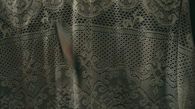 Video Reference: Pattern, Lace, Textile, Brown, Design, Woven fabric, Pattern, Interior design, Embellishment, Motif
