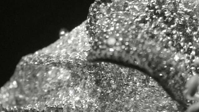 Video Reference: water, black and white, monochrome photography, photography, close up, moisture, monochrome, drop, macro photography, glitter