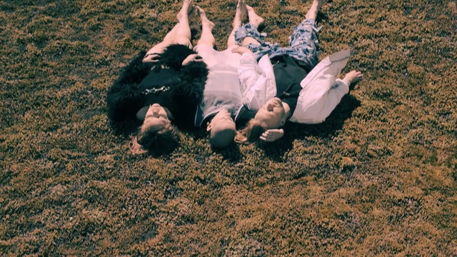 Video Reference: grass, plant, fun, tree, soil, girl, recreation, Person