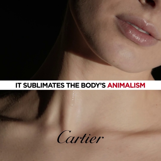 Video Reference: Face, Lip, Skin, Chin, Neck, Cheek, Nose, Jaw, Head, Text, Person, Clothing, Smiling, Wearing, Woman, Photo, Shirt, Black, Posing, Young, Holding, Girl, Man, Suit, Pink, Eyebrow