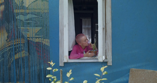 Video Reference: Child, Pink, Window, Vacation, Toddler, Wood, Smile
