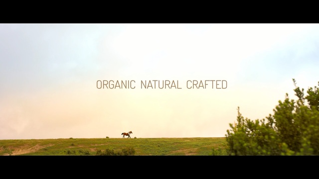 Video Reference: Grassland, Nature, Sky, Natural environment, Plain, Horizon, Green, Steppe, Pasture, Prairie