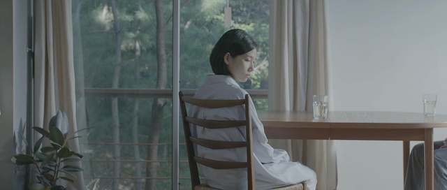 Video Reference: window, girl, interior design, Person