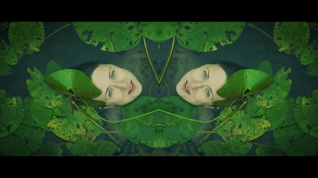 Video Reference: Green, Nature, Leaf, Organism, Grass, Art, Adaptation, Plant, Illustration, Aquatic plant