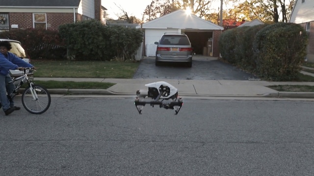 Video Reference: land vehicle, asphalt, vehicle, mode of transport, lane, bicycle, bicycle accessory, motor vehicle, sports equipment, recreation