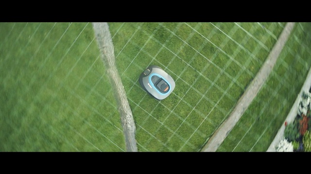 Video Reference: Green, Net, Sport venue, Leaf, Grass, Artificial turf, Football, Stadium, Soccer ball, Photography