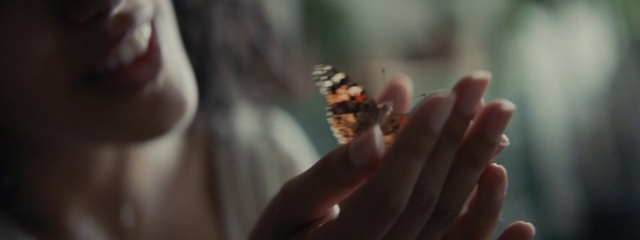 Video Reference: Cynthia (subgenus), Butterfly, Finger, Insect, Nail, Hand, Monarch butterfly, Moths and butterflies, Invertebrate, Macro photography